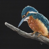 Karen Nealon – “Out on a Limb” – http://www.whitebrowart.com/