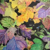 Carole McAlpine – “Changing Colours” – http://artmajeur.com/carolemac7