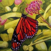 Elizabeth Selna – “Monarch on Milkweed” – http://www.tinyurl.com/elizabethselnaart