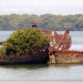 Sue Smith - "Garden Island Ships Sanctuary” – https://assp.suesmithphotography.com.au/