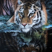 Sophie Parkhill - "Bath Time” – http://www.spwildlifeart.com/