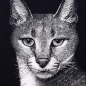 Kathy Paulus - "Cattitude” – http://www.facebook.com/ElipisFineArt