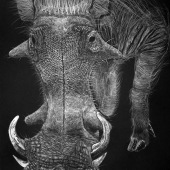 John Larsen – “Warthog” – http://johnlarsenart.com/