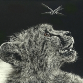 Geraldine Simmons – “The Magic of Eye Spy” – http://geraldineswildlifeart.com/