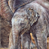 Geraldine Simmons – “Mother Knows Best” – http://geraldineswildlifeart.com/