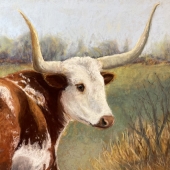 Tammy Cox - "Kentucky Longhorn” – http://tammycoxfineart.com/