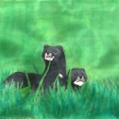 Sara Davies - "European Mink Lying in Grass” – https://www.facebook.com/saradaviesillustrations/