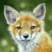 Susan Monty – “Foxy” – http://www.susanmonty.com/