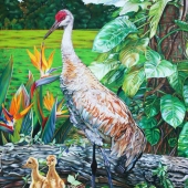 Nancy Jacey – “Sandhill Cranes” – http://www.nancyjacey.com/