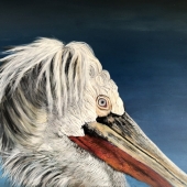 Colleen Walker – “Twilight Pelican” – http://www.colleenwalkerart.com/