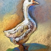 Fang Zhou - "Sunny Goose” – http://fangsullivan.com/