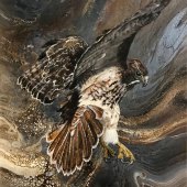 Hon. Mention - Linda Steele – “The Red-tailed Hawk” – steeleoriginals@comcast.net