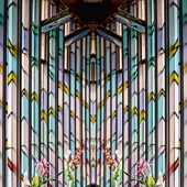 John Pingree - “Stained Glass” – https://jpingreephotography.wordpress.com/