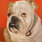 Eskitzi-A (1) Img #1  Bulldog