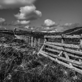 Hon. Mention - Photography - Locke (2) Img #5 Old Hill Gates