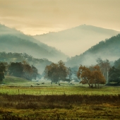 Kirk-Detberner (1) Img #5  Morning Fog