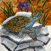 Kristi Richter – “Turtle Rock” - keddywumpus@yahoo.com