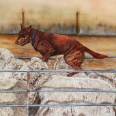 Kathy Christian – “Drought Dog” - www.facebook.com/kchristianart