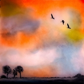 Alicia Beesley – “Geese Over The Merse” – www.aliciabeesley.foliopic.com