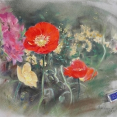 Hsiu-Min Hung – “Poppy Flower” - www.softpastelhung.webnode.tw