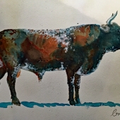 Sharpe (1) Img #4  Nguni 'Botswana disco-cow