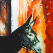 Junsung Back - “Dandelion Donkey” –  www.wcback.com
