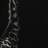 Amy Stauffer - “Tall, Dark, & Handsome” – www.amystauffer.com