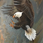 Linda Steele - “The Bald Eagle” - steeleoriginals@comcast.net