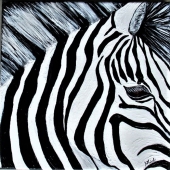 Anne Link – “Side Profile Of A Zebra” - annemlink@gmail.com