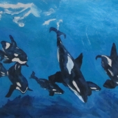 Monik Robichaud - “Endangered Orcas” – www.artlimited.net/42944