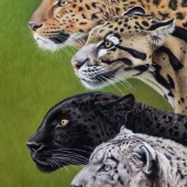 Marie Curran - “4 Leopards” –  www.mariecurran.artweb.com