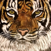 Kathy Copsey - “A Tiger's Soul” – www.ksdesigns16.com