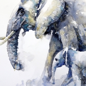 Arie Swanepoel - “Keep up Son” – www.artstudio53.com