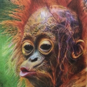 Deborah Tomasowa - “Plight of the Orangutan-Save My Home...” – www.dtomasowa.wixsite.com/debs-artbox