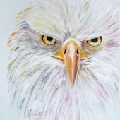 René Pauwels - “Eagle Eye” –  www.artrenep1.com