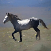 Gaylord Mink - “Wild Horse in Flowers” –  gmink@charter.net