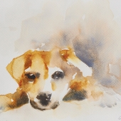 Diane Geach - “My Dog Ralph” –  chat2di@gmail.com