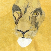 John T. Mac Dougall - “Lauren the Lion” – www.renebernardnovel.com