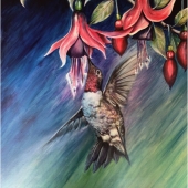 Juan Vallejo - “Hummingbird” - juanvllj@gmail.com