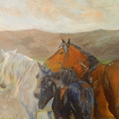 Laura Badger – “Onaqui Mustangs” - lbadgermohr@gmail.com