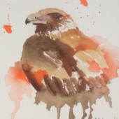 Margie Langtip - “Wedge Tailed Eagle” –  www.aartcreations.jimdo.com