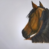 Joanne Prestidge-King - “Bay Horse” –  www.jpkingart.co.uk