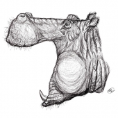 Lokesh Coomar - “Hippopotamus Amphibius” – www.facebook.com/coomarwildlifeart