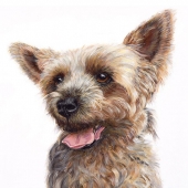 Dr Ann Lindahl - “Naples Doggie Parade Dog” – www.squareup.com/store/ann-lindahl-studio