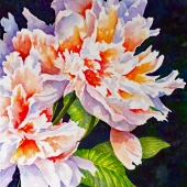 Opal Peony I