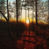 Hazel Thomson – “Forest Sunset” – www.hazelthomsonart.com