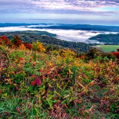 James McRoberts – “Early Morning Fog” - www.mcrobertsphoto.com