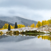 Bryant (1) Img #1 Autumn on Kebler Pass