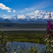 Moore-C (1) Img #3  Mt. Denali