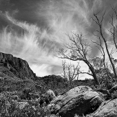 Taylor-A (1) Img #1  Ben Lomond NP